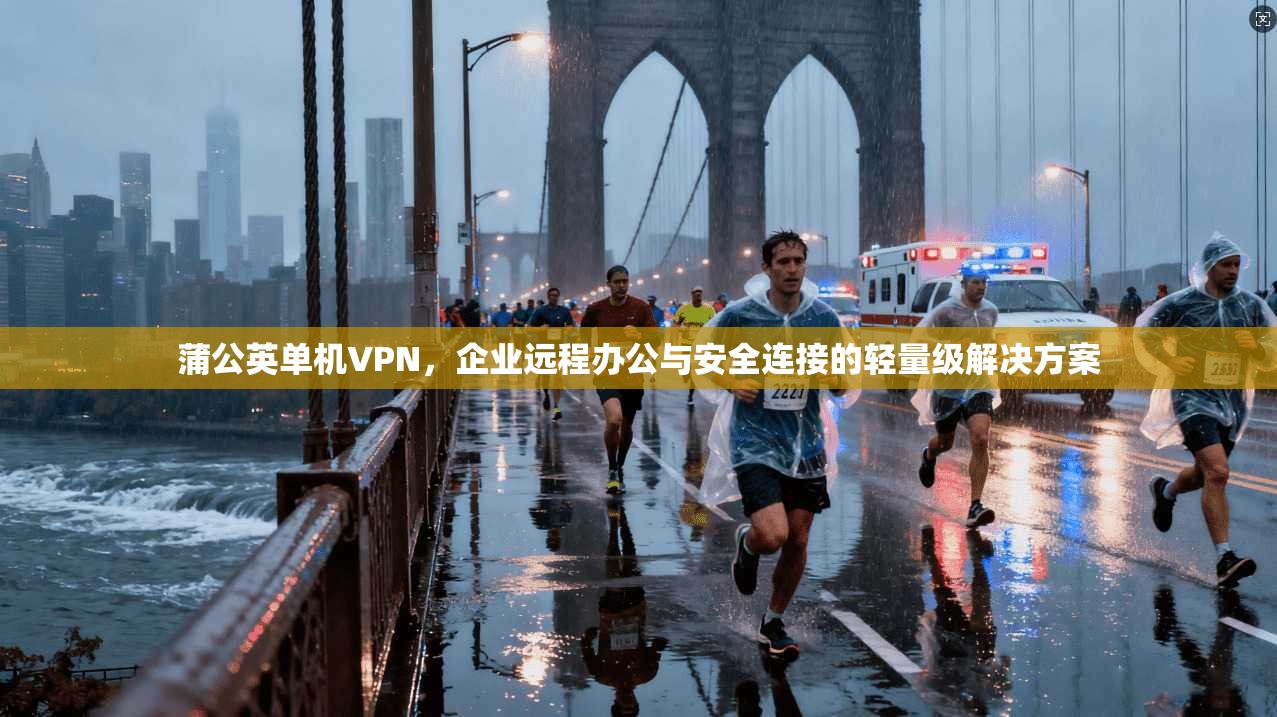蒲公英单机VPN，企业远程办公与安全连接的轻量级解决方案
