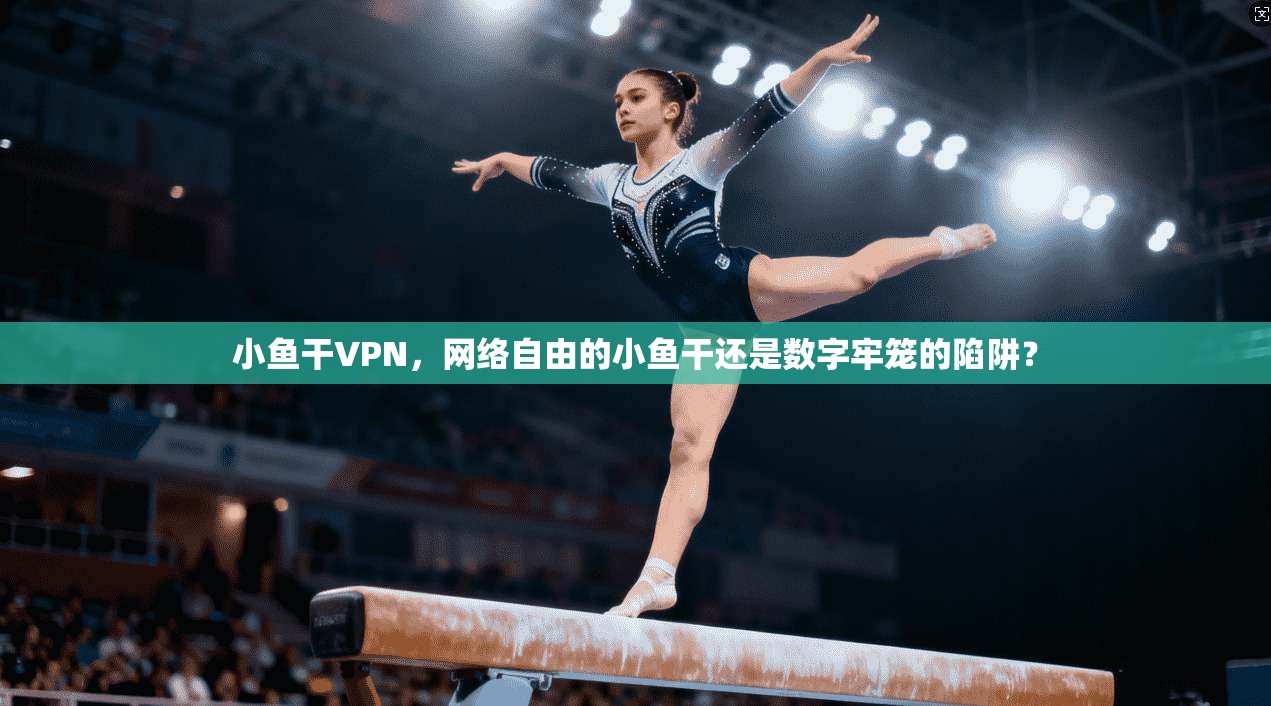 小鱼干VPN,网络自由的小鱼干还是数字牢笼的陷阱? 小鱼干VPN,网络自由的小鱼干还是数字牢笼的陷阱?