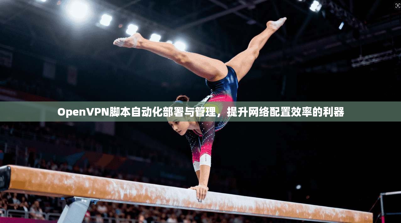 OpenVPN脚本自动化部署与管理,提升网络配置效率的利器 OpenVPN脚本自动化部署与管理,提升网络配置效率的利器