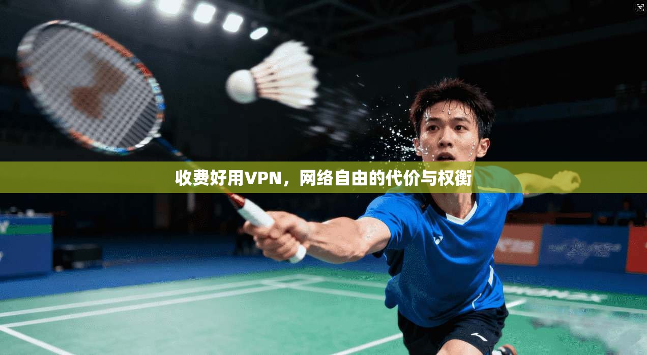 收费好用VPN,网络自由的代价与权衡 收费好用VPN,网络自由的代价与权衡
