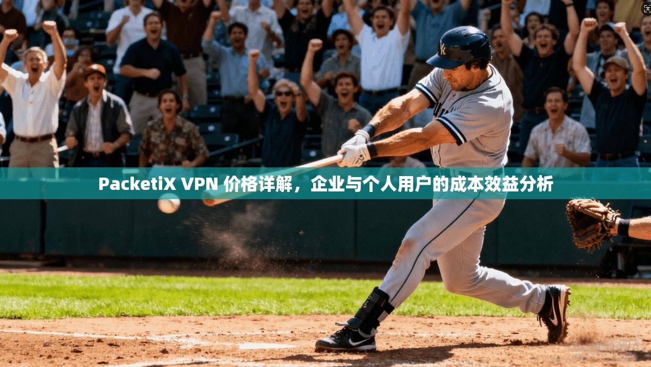PacketiX VPN 价格详解,企业与个人用户的成本效益分析 PacketiX VPN 价格详解,企业与个人用户的成本效益分析