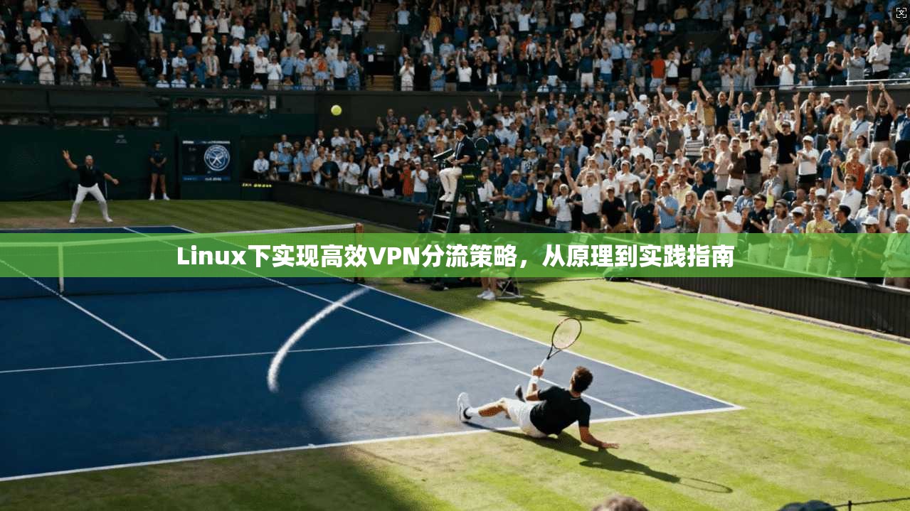 Linux下实现高效VPN分流策略,从原理到实践指南 Linux下实现高效VPN分流策略,从原理到实践指南
