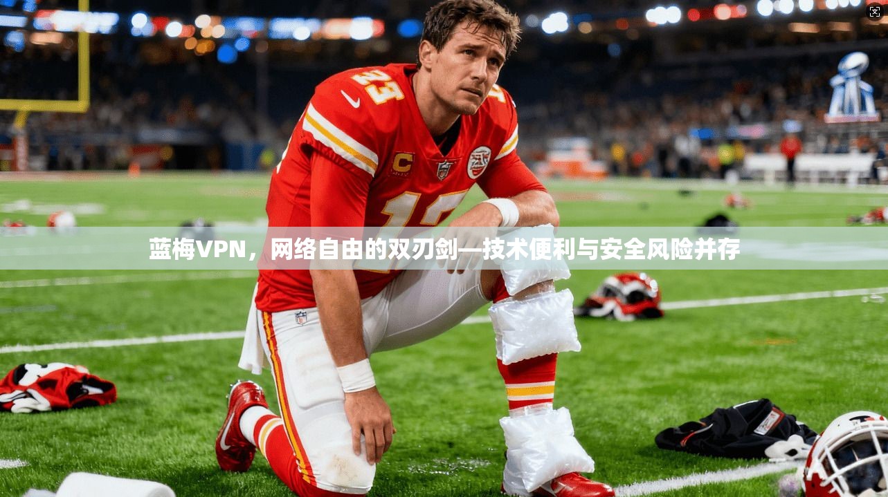 蓝梅VPN,网络自由的双刃剑—技术便利与安全风险并存 蓝梅VPN,网络自由的双刃剑—技术便利与安全风险并存