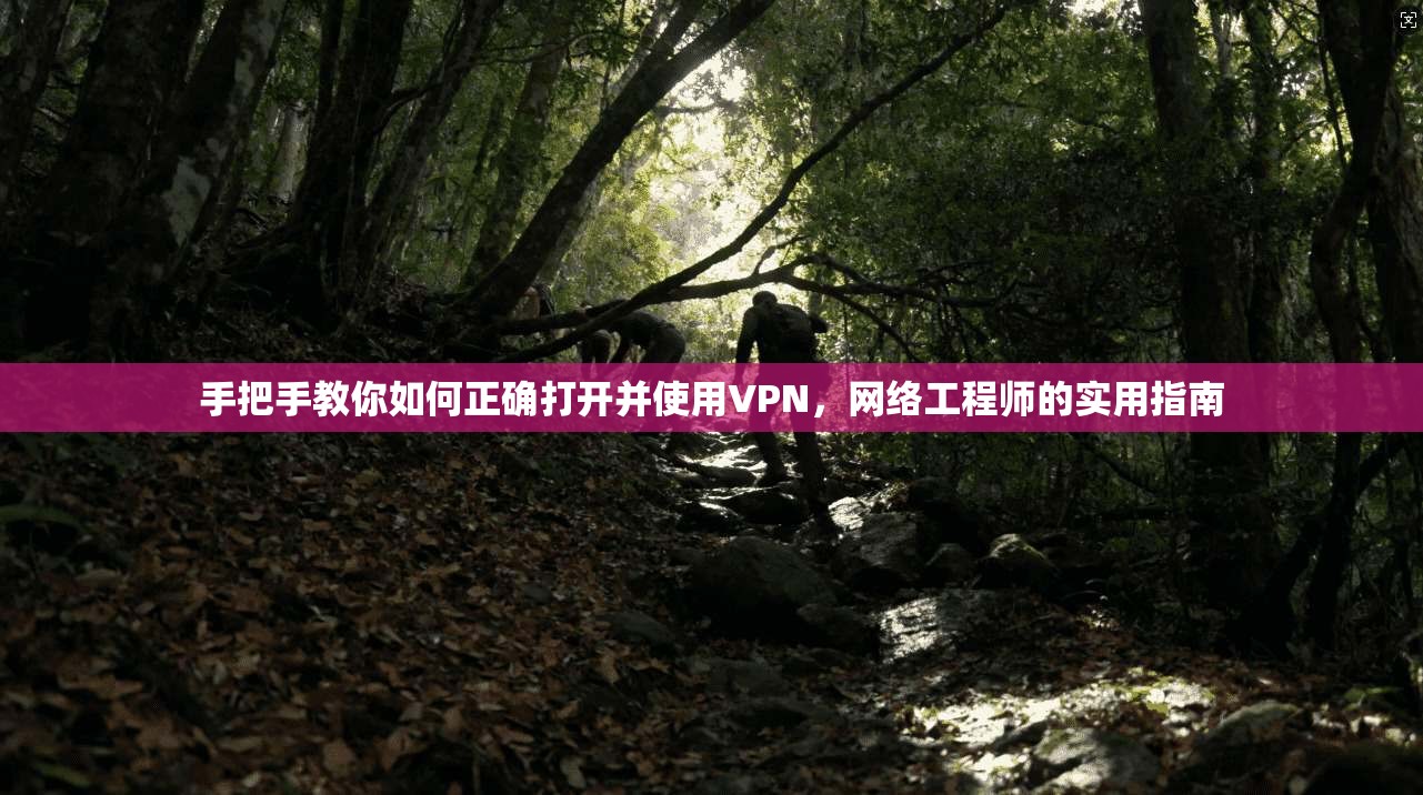 手把手教你如何正确打开并使用VPN,网络工程师的实用指南 手把手教你如何正确打开并使用VPN,网络工程师的实用指南