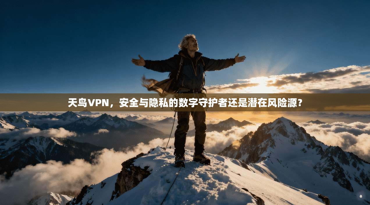 天鸟VPN,安全与隐私的数字守护者还是潜在风险源? 天鸟VPN,安全与隐私的数字守护者还是潜在风险源?