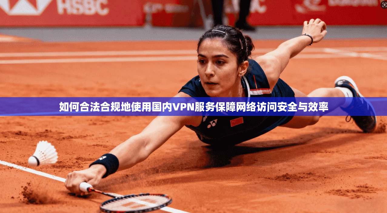 如何合法合规地使用国内VPN服务保障网络访问安全与效率