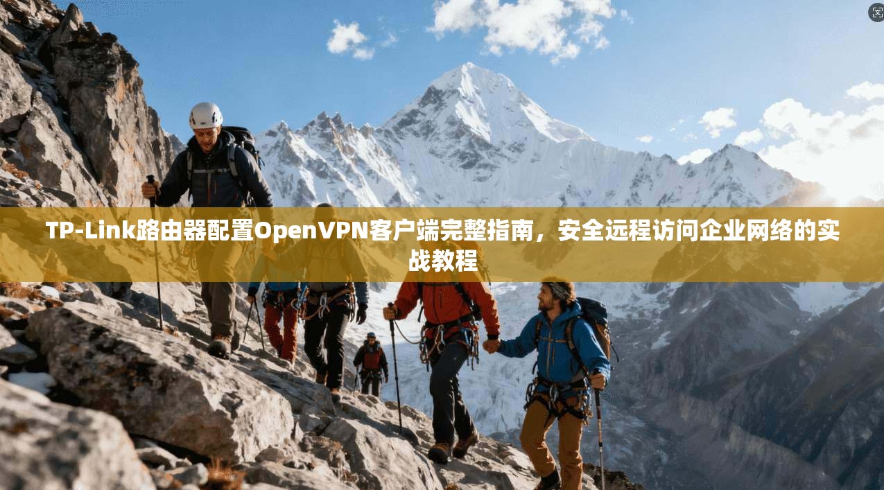 TP-Link路由器配置OpenVPN客户端完整指南，安全远程访问企业网络的实战教程