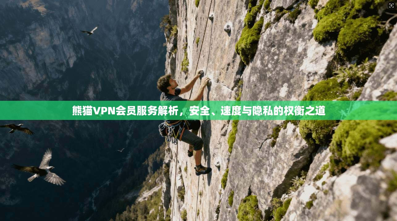 熊猫VPN会员服务解析,安全、速度与隐私的权衡之道 熊猫VPN会员服务解析,安全、速度与隐私的权衡之道