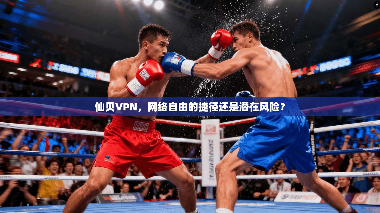 仙贝VPN，网络自由的捷径还是潜在风险？