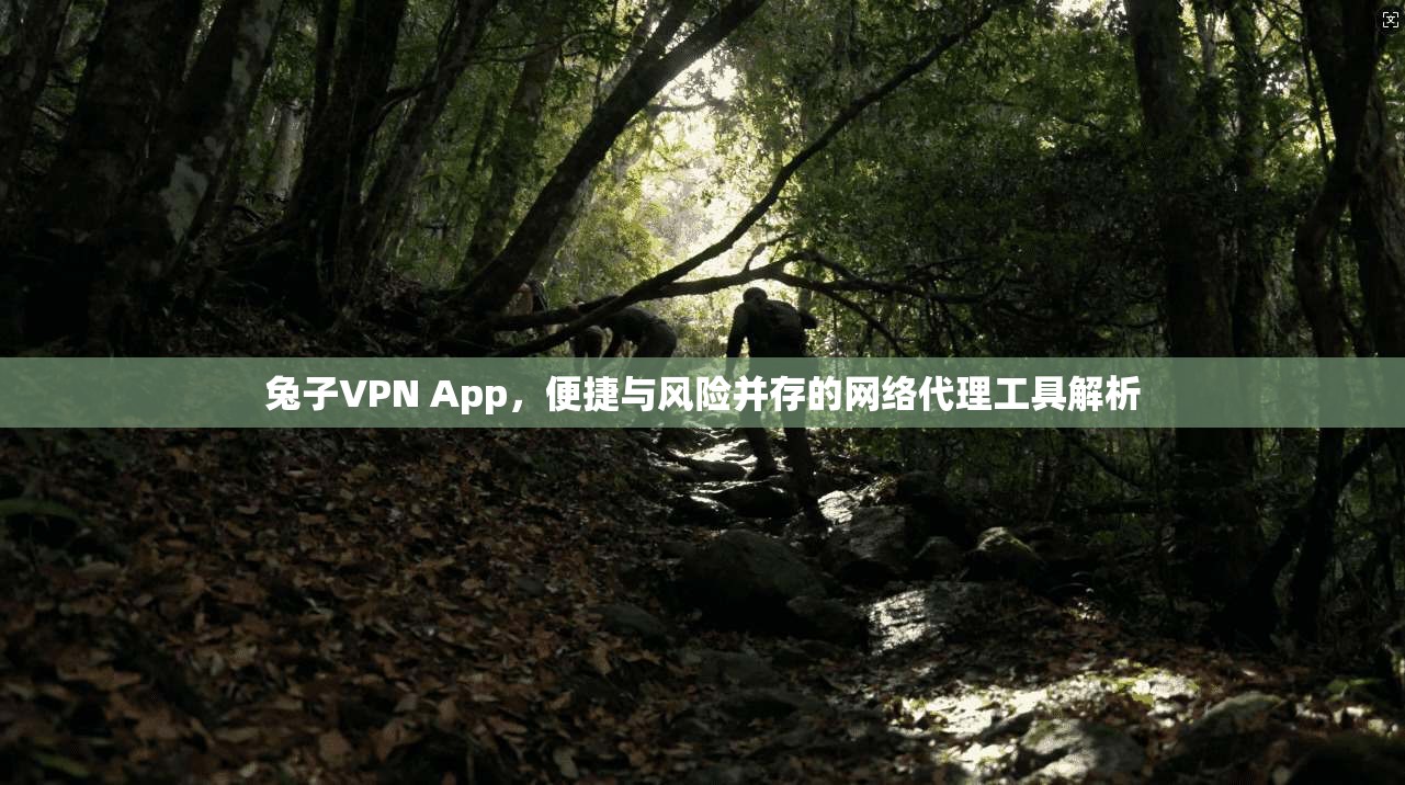 兔子VPN App,便捷与风险并存的网络代理工具解析 兔子VPN App,便捷与风险并存的网络代理工具解析