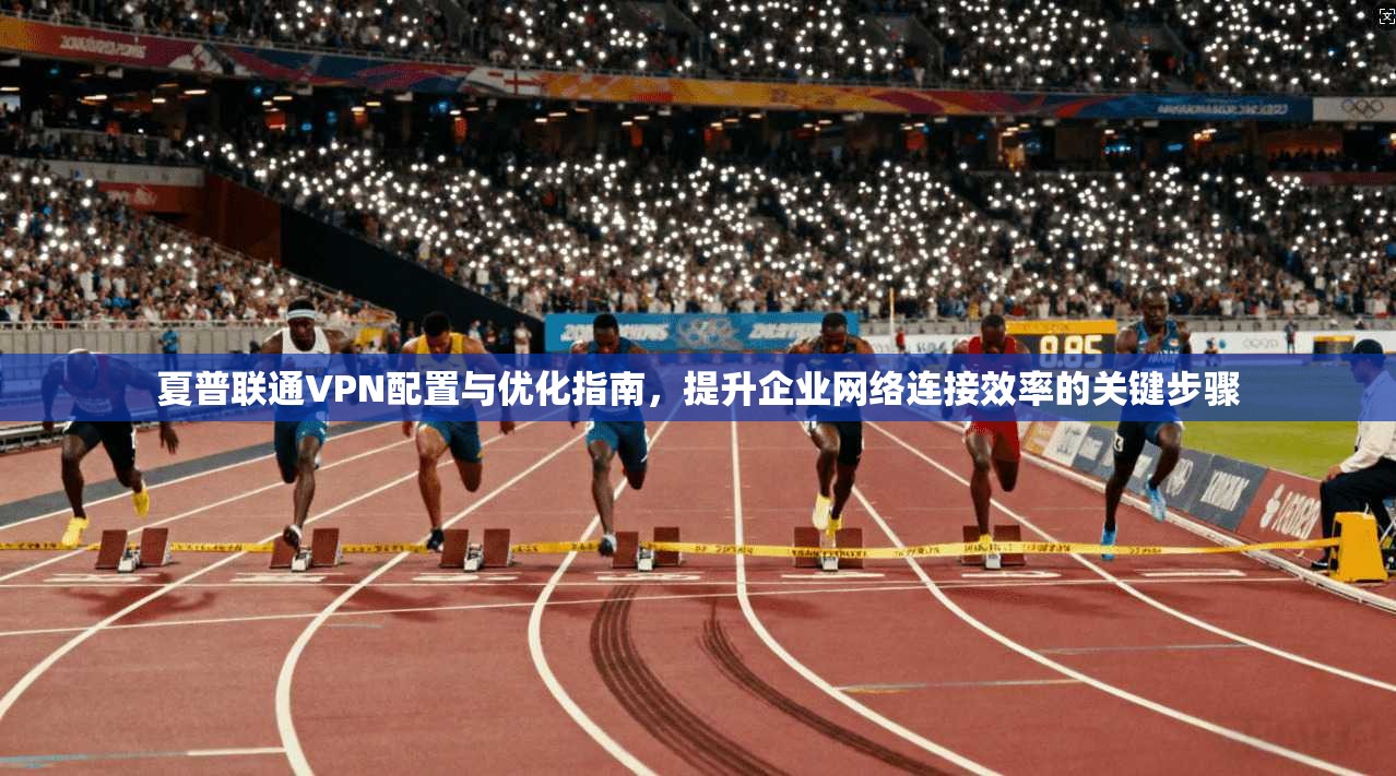 夏普联通VPN配置与优化指南,提升企业网络连接效率的关键步骤 夏普联通VPN配置与优化指南,提升企业网络连接效率的关键步骤