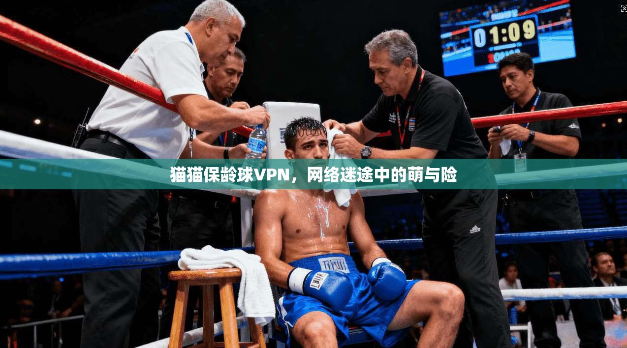 猫猫保龄球VPN，网络迷途中的萌与险