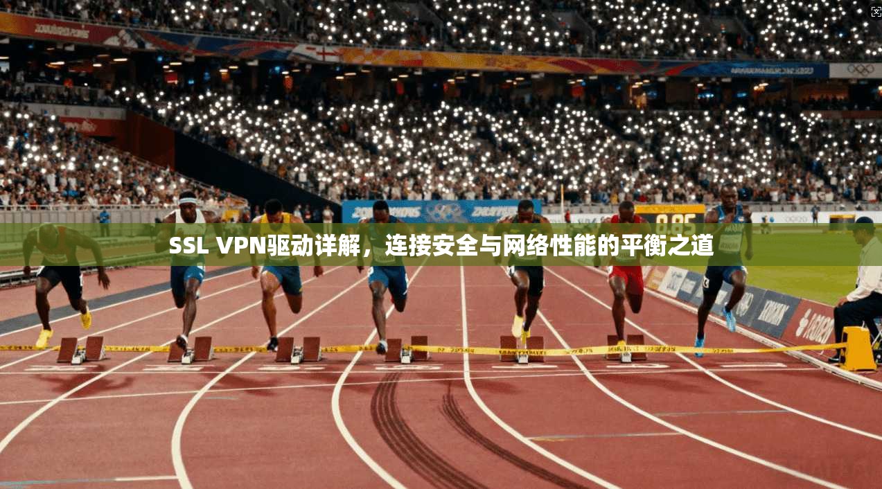 SSL VPN驱动详解，连接安全与网络性能的平衡之道