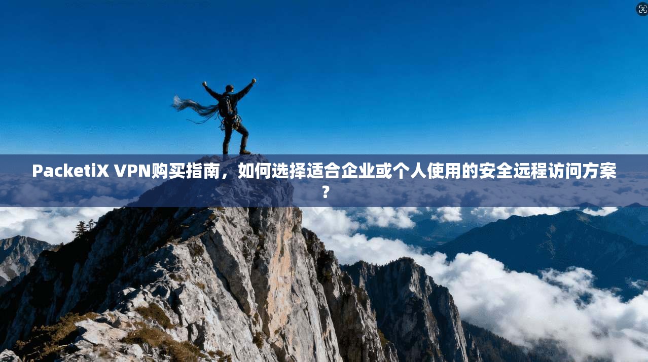 PacketiX VPN购买指南,如何选择适合企业或个人使用的安全远程访问方案? PacketiX VPN购买指南,如何选择适合企业或个人使用的安全远程访问方案?