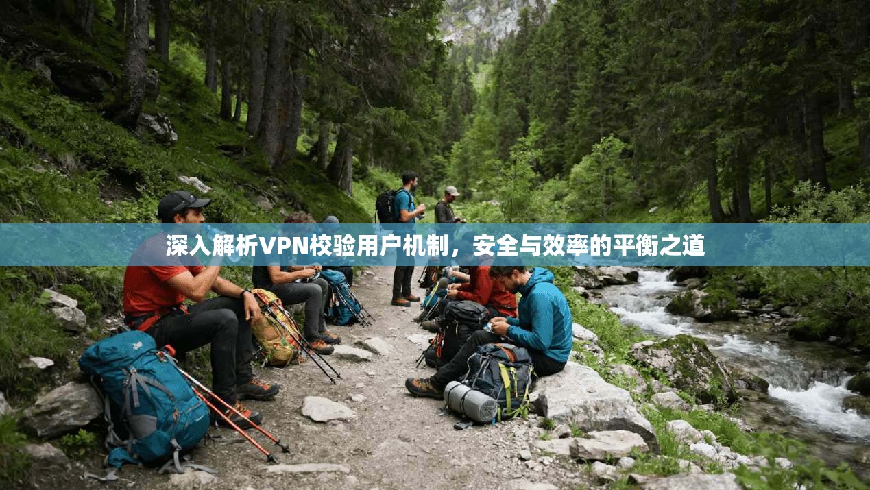 深入解析VPN校验用户机制,安全与效率的平衡之道 深入解析VPN校验用户机制,安全与效率的平衡之道