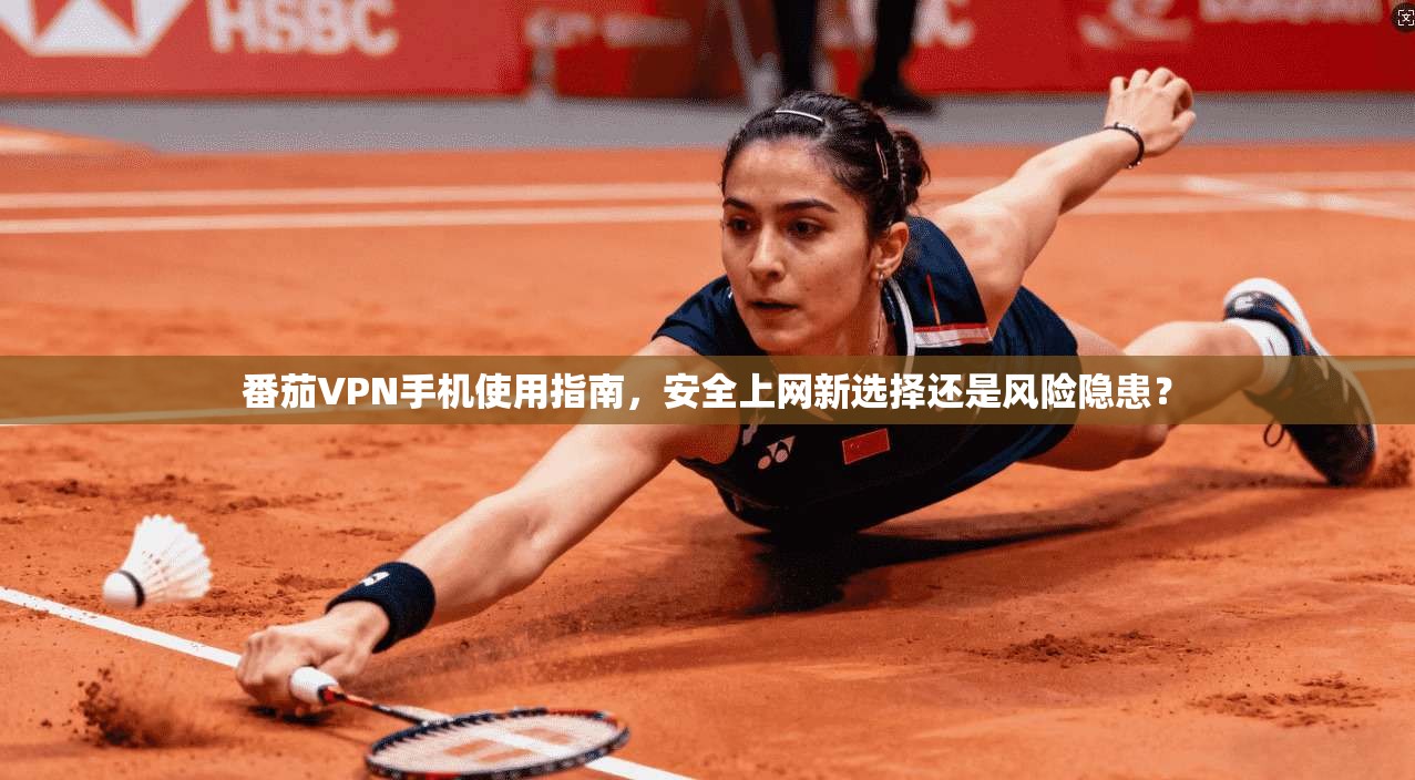 番茄VPN手机使用指南，安全上网新选择还是风险隐患？