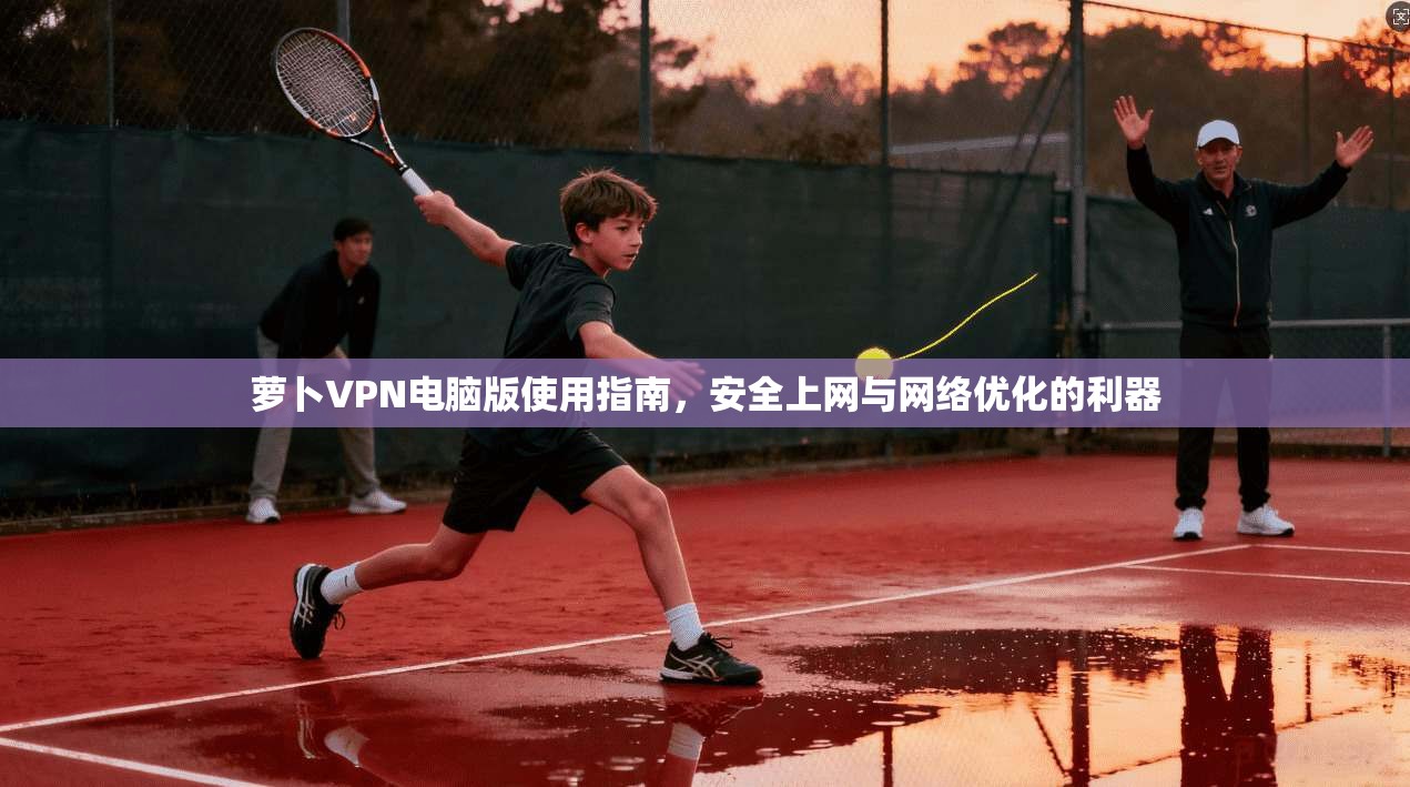 萝卜VPN电脑版使用指南，安全上网与网络优化的利器