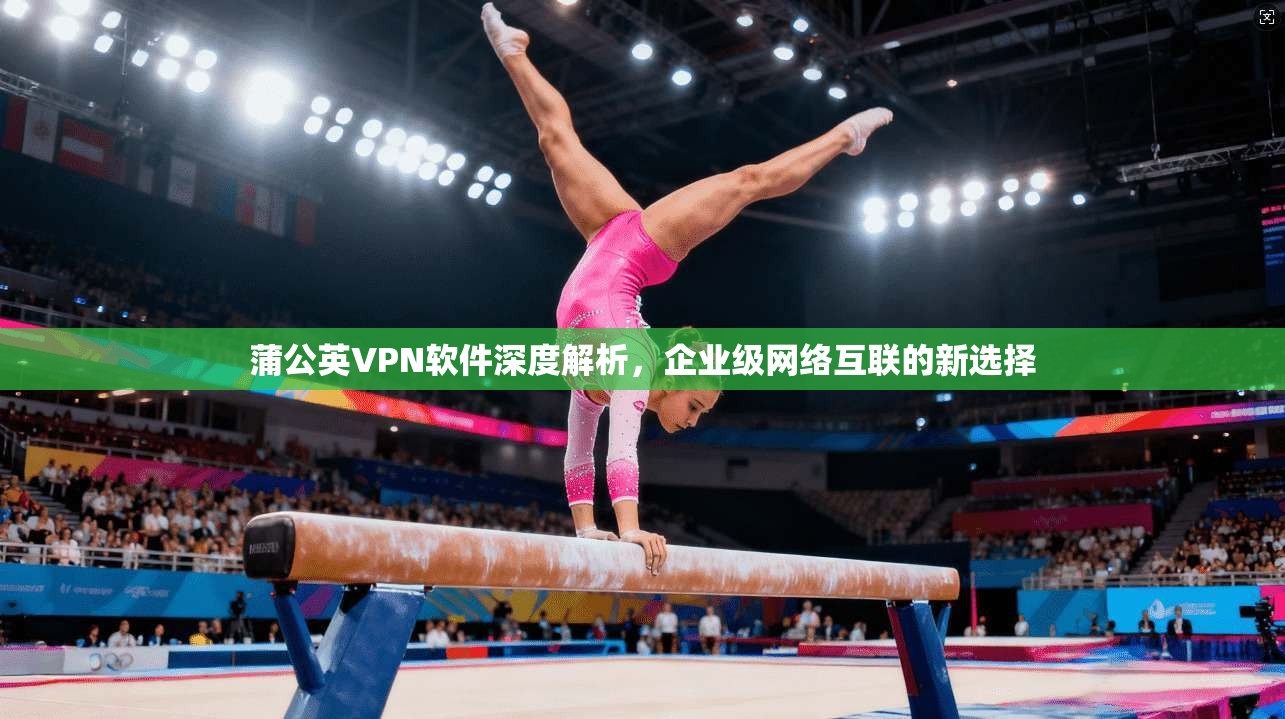蒲公英VPN软件深度解析，企业级网络互联的新选择