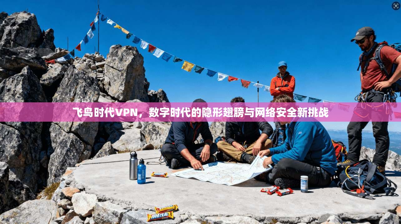 飞鸟时代VPN，数字时代的隐形翅膀与网络安全新挑战