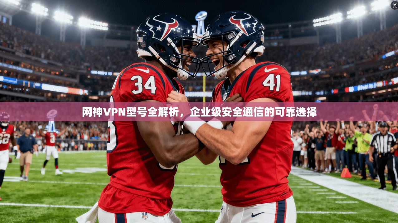 网神VPN型号全解析,企业级安全通信的可靠选择 网神VPN型号全解析,企业级安全通信的可靠选择