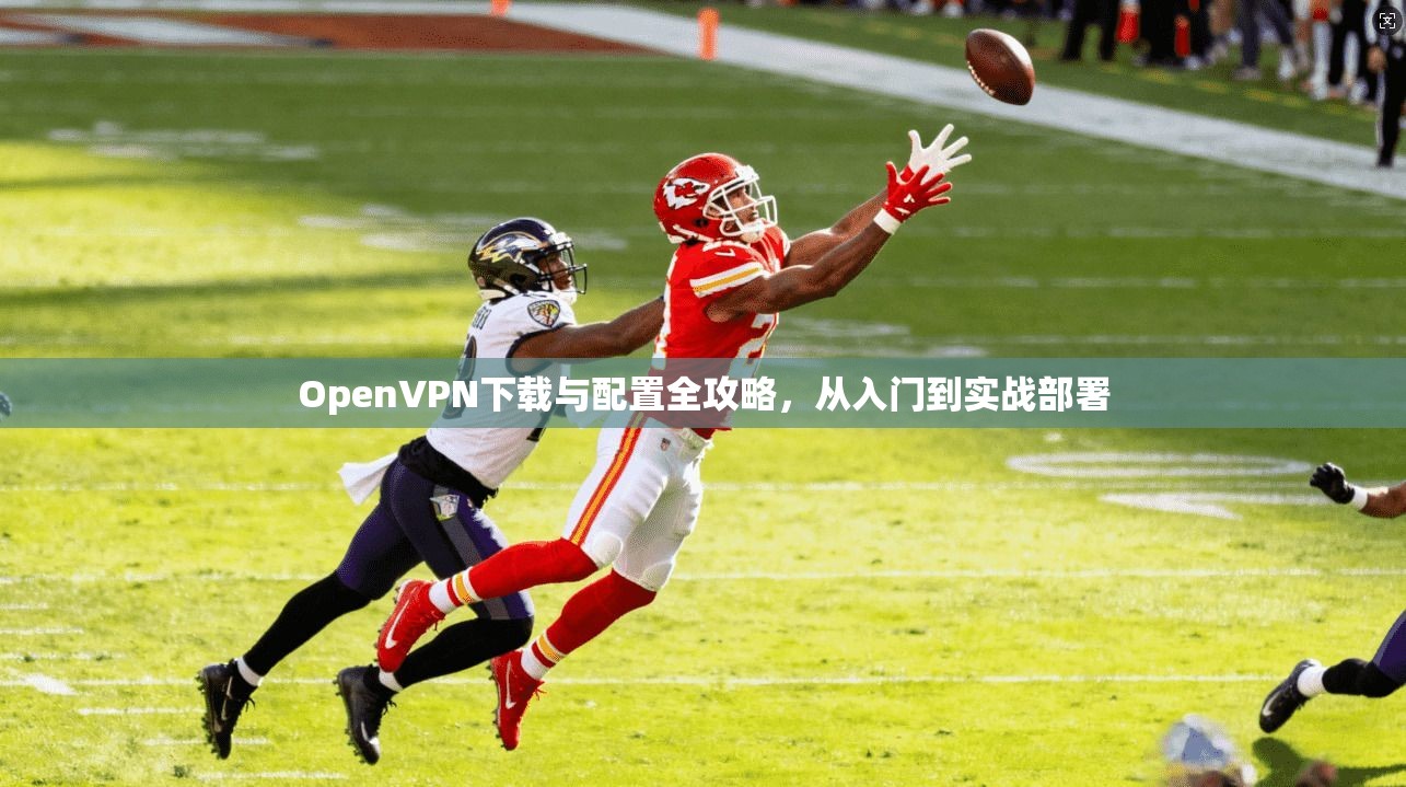 OpenVPN下载与配置全攻略,从入门到实战部署 OpenVPN下载与配置全攻略,从入门到实战部署