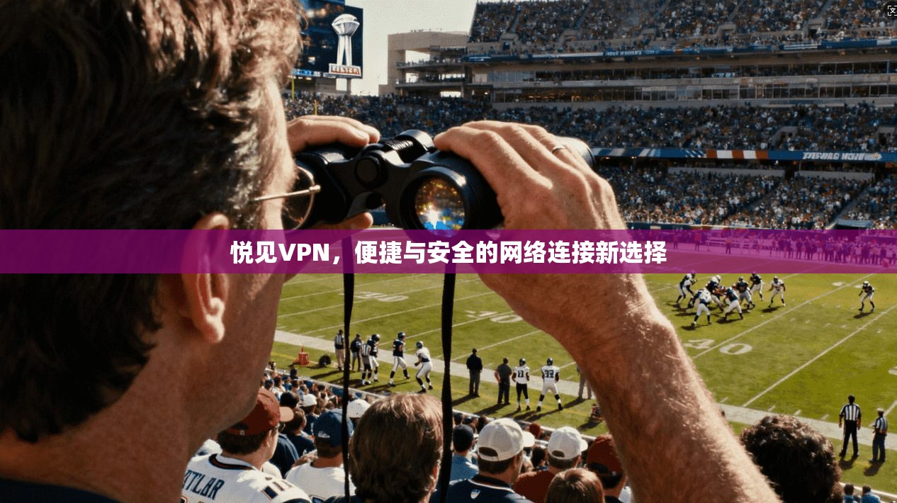 悦见VPN,便捷与安全的网络连接新选择 悦见VPN,便捷与安全的网络连接新选择