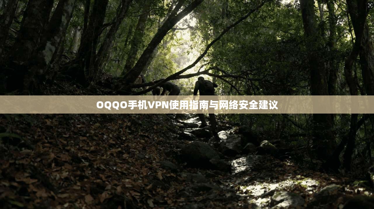 OQQO手机VPN使用指南与网络安全建议 OQQO手机VPN使用指南与网络安全建议