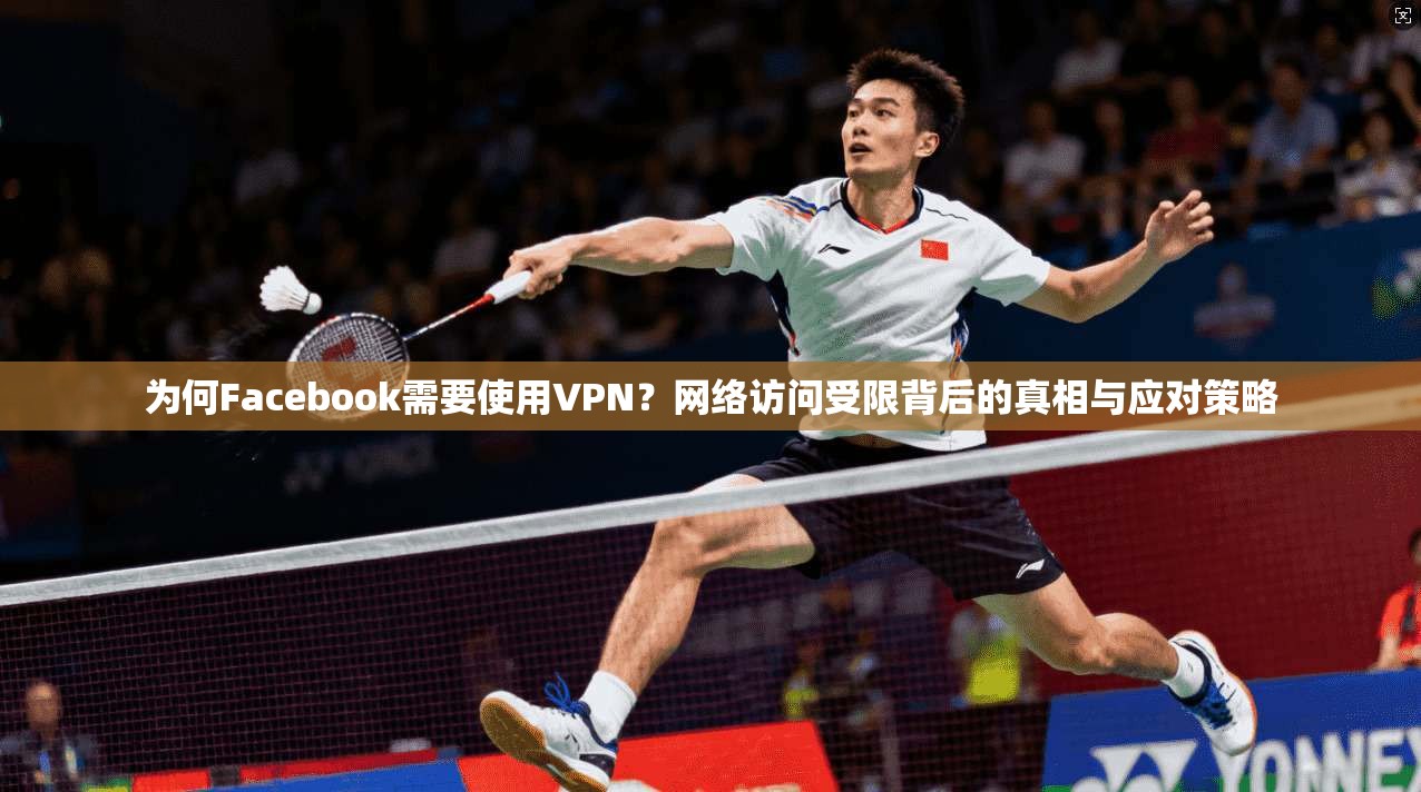 为何Facebook需要使用VPN?网络访问受限背后的真相与应对策略 为何Facebook需要使用VPN?网络访问受限背后的真相与应对策略