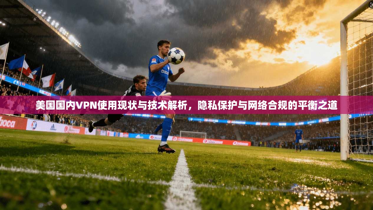 美国国内VPN使用现状与技术解析,隐私保护与网络合规的平衡之道 美国国内VPN使用现状与技术解析,隐私保护与网络合规的平衡之道