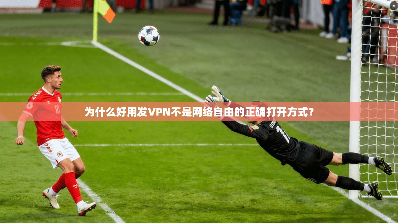 为什么好用发VPN不是网络自由的正确打开方式？