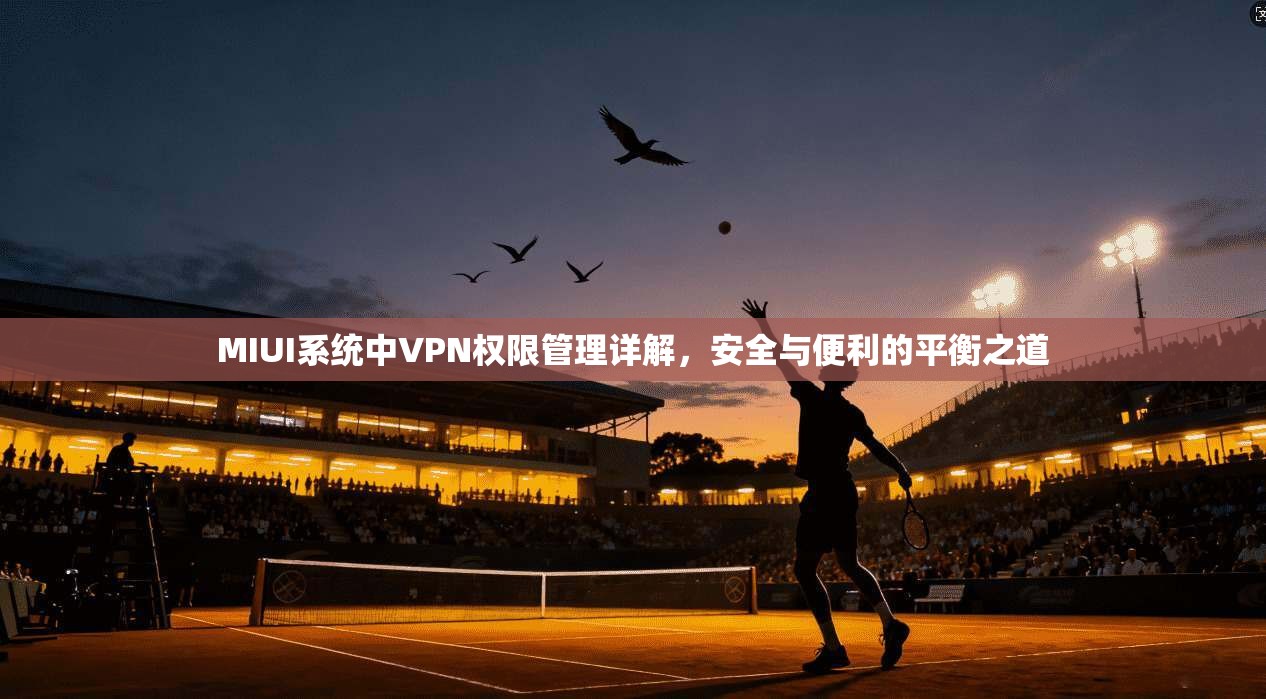MIUI系统中VPN权限管理详解,安全与便利的平衡之道 MIUI系统中VPN权限管理详解,安全与便利的平衡之道