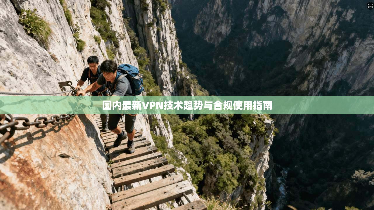 国内最新VPN技术趋势与合规使用指南