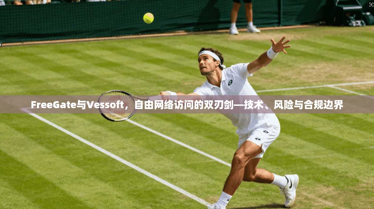 FreeGate与Vessoft,自由网络访问的双刃剑—技术、风险与合规边界 FreeGate与Vessoft,自由网络访问的双刃剑—技术、风险与合规边界