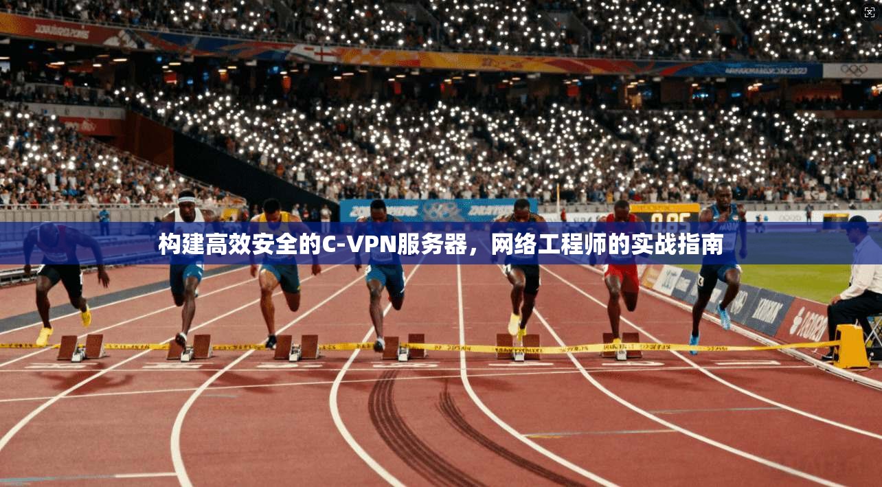 构建高效安全的C-VPN服务器,网络工程师的实战指南 构建高效安全的C-VPN服务器,网络工程师的实战指南