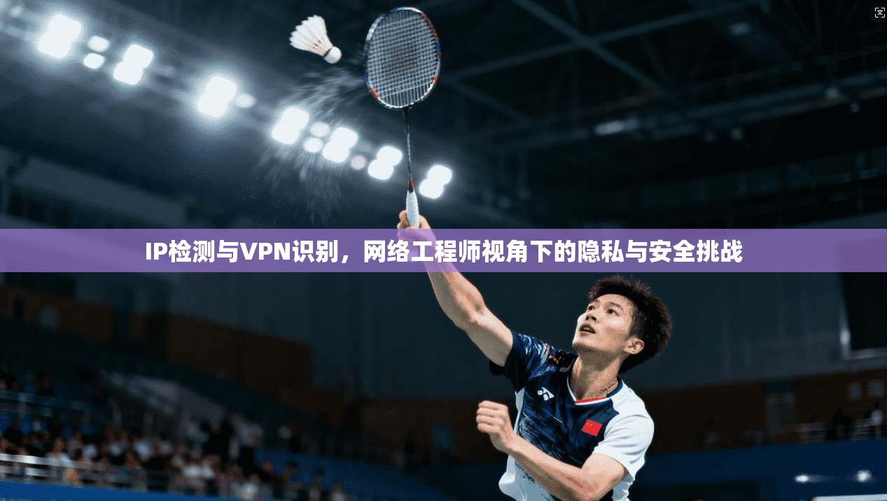 IP检测与VPN识别，网络工程师视角下的隐私与安全挑战