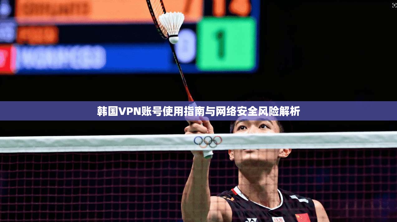 韩国VPN账号使用指南与网络安全风险解析 韩国VPN账号使用指南与网络安全风险解析