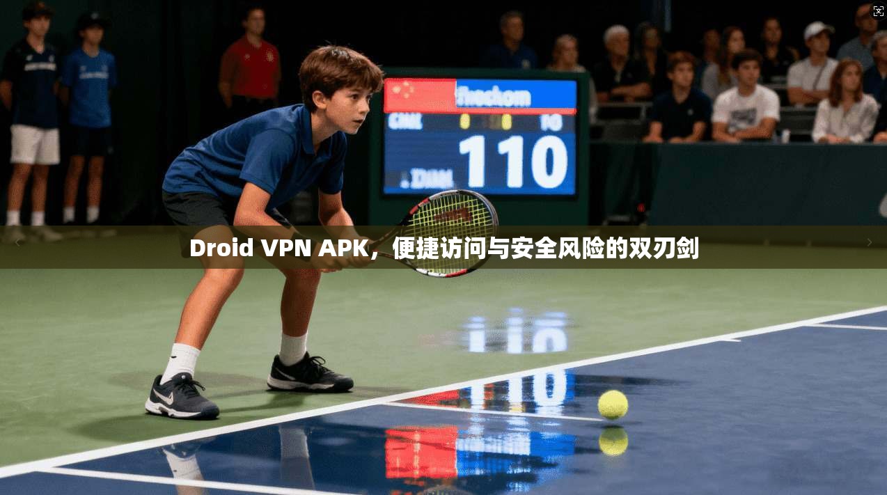 Droid VPN APK，便捷访问与安全风险的双刃剑