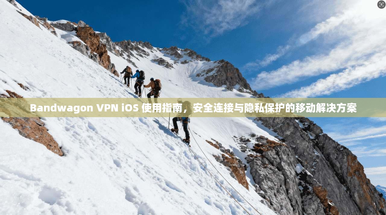 Bandwagon VPN iOS 使用指南，安全连接与隐私保护的移动解决方案