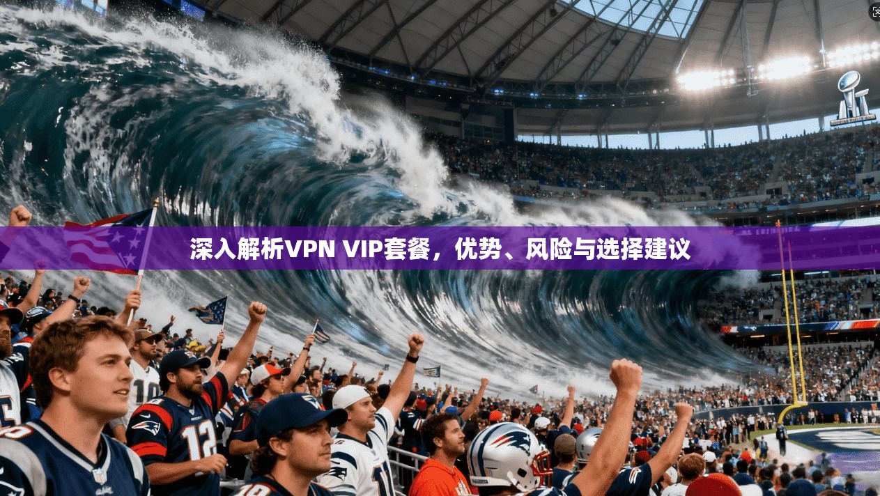 深入解析VPN VIP套餐,优势、风险与选择建议 深入解析VPN VIP套餐,优势、风险与选择建议