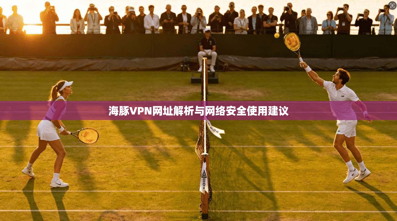 海豚VPN网址解析与网络安全使用建议 海豚VPN网址解析与网络安全使用建议