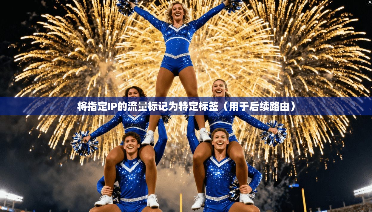 将指定IP的流量标记为特定标签(用于后续路由) 将指定IP的流量标记为特定标签(用于后续路由)