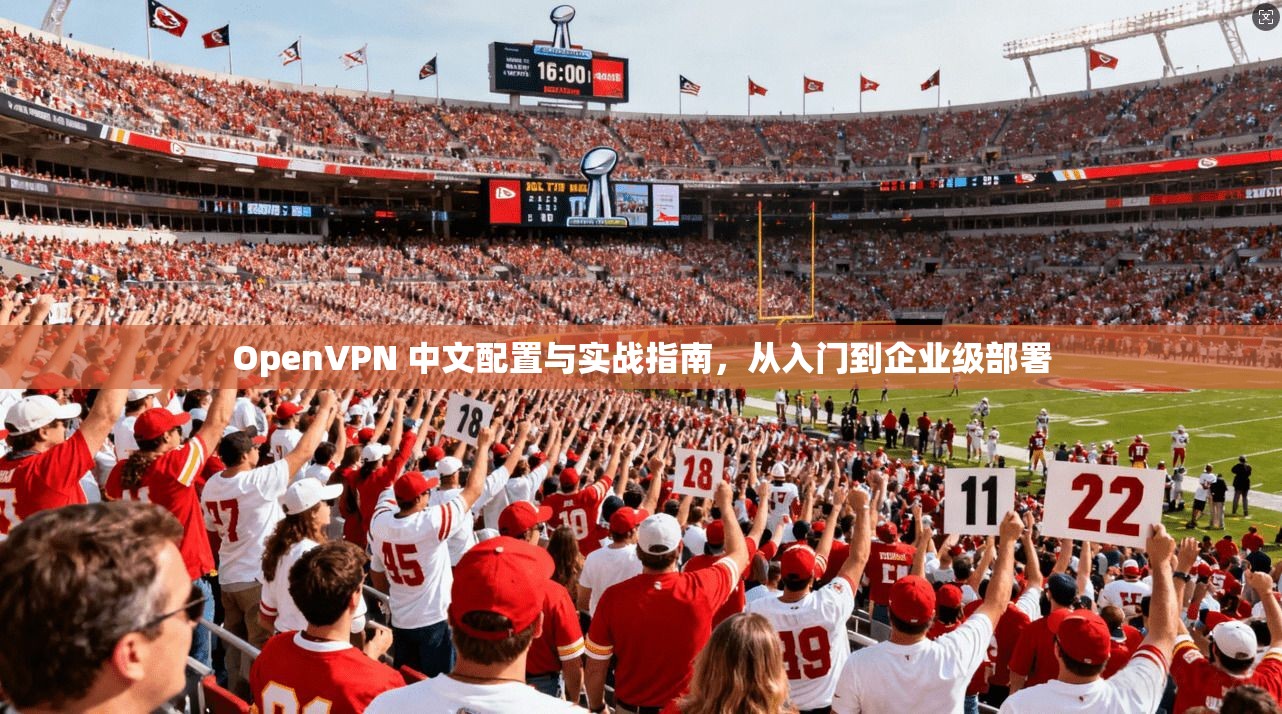 OpenVPN 中文配置与实战指南,从入门到企业级部署 OpenVPN 中文配置与实战指南,从入门到企业级部署