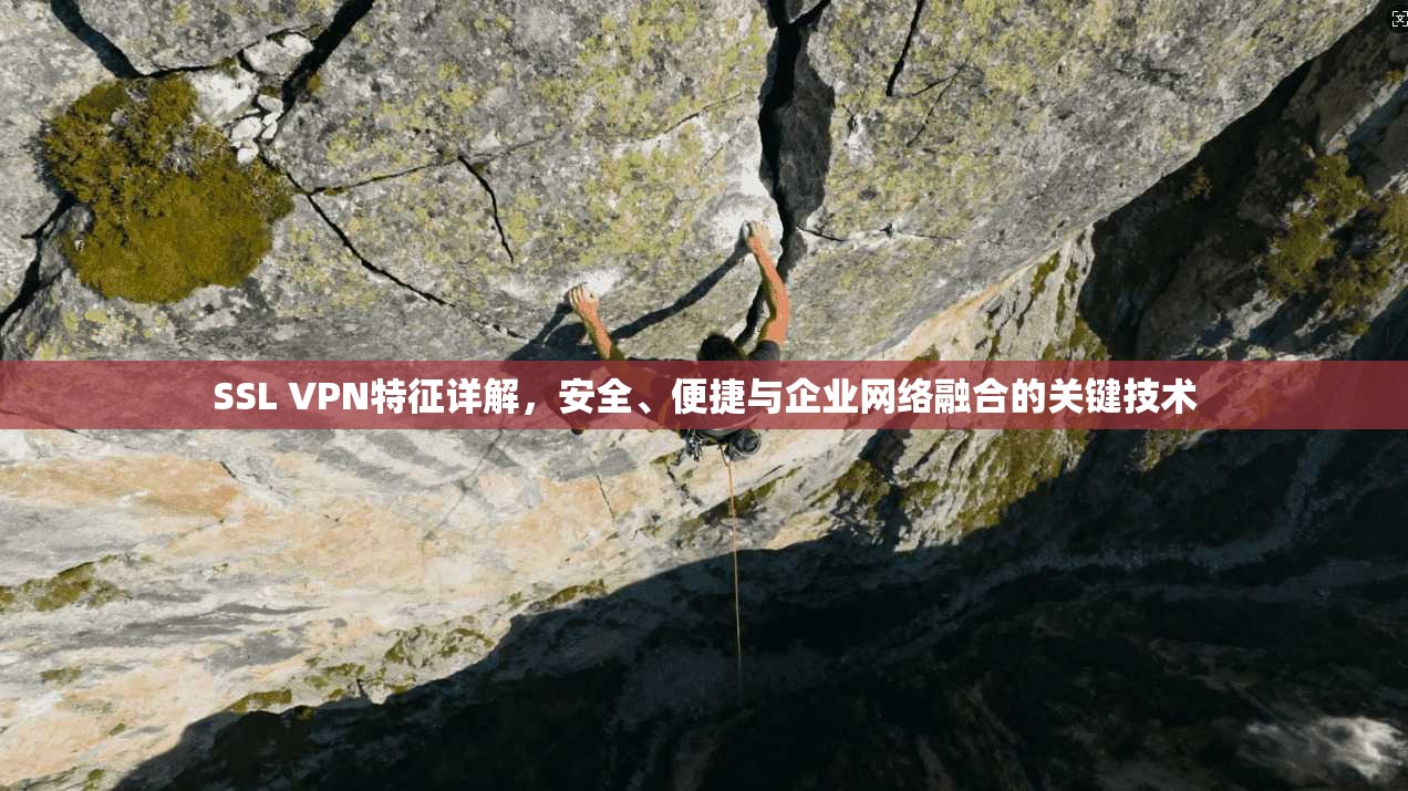 SSL VPN特征详解,安全、便捷与企业网络融合的关键技术 SSL VPN特征详解,安全、便捷与企业网络融合的关键技术