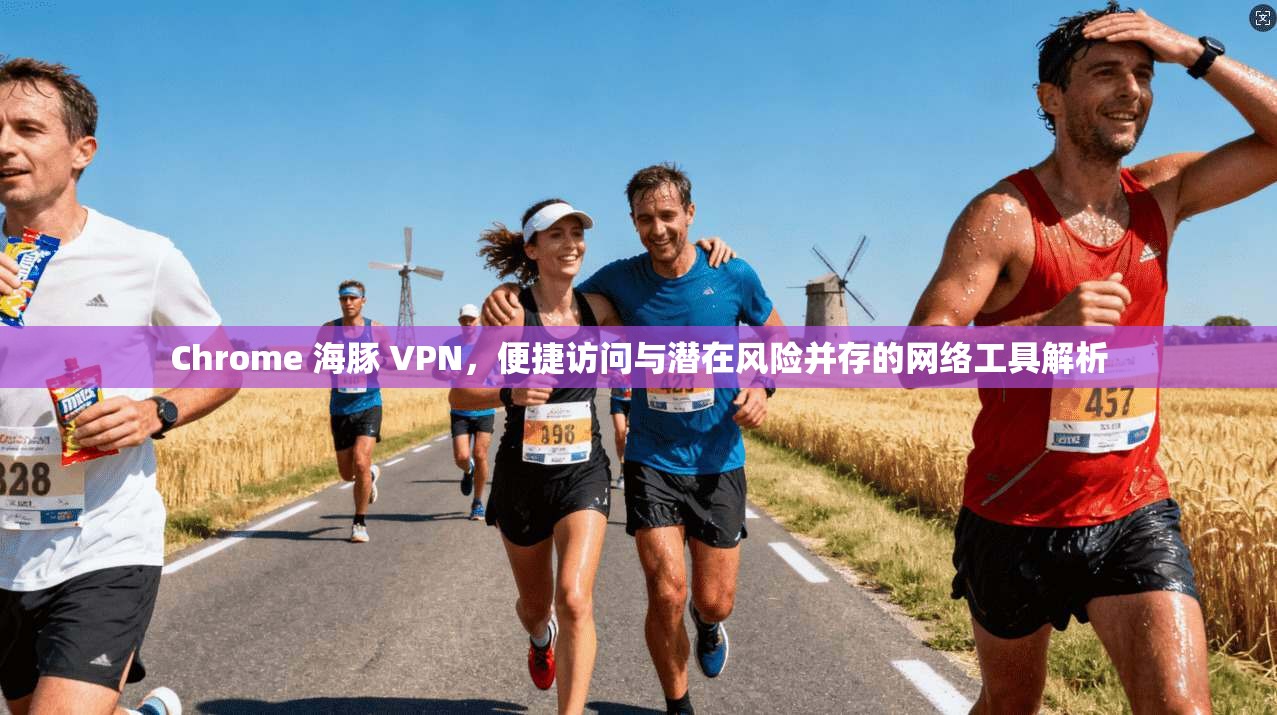 Chrome 海豚 VPN，便捷访问与潜在风险并存的网络工具解析