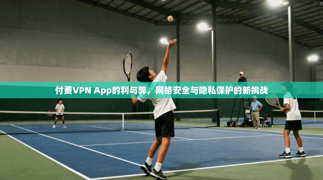 付费VPN App的利与弊，网络安全与隐私保护的新挑战