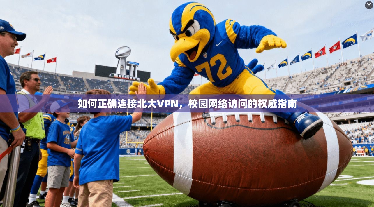 如何正确连接北大VPN,校园网络访问的权威指南 如何正确连接北大VPN,校园网络访问的权威指南