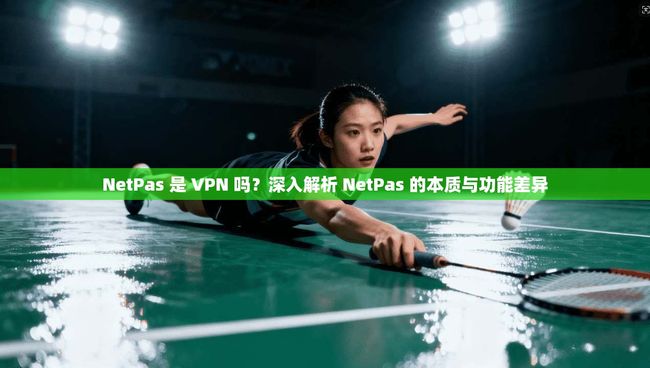 NetPas 是 VPN 吗？深入解析 NetPas 的本质与功能差异