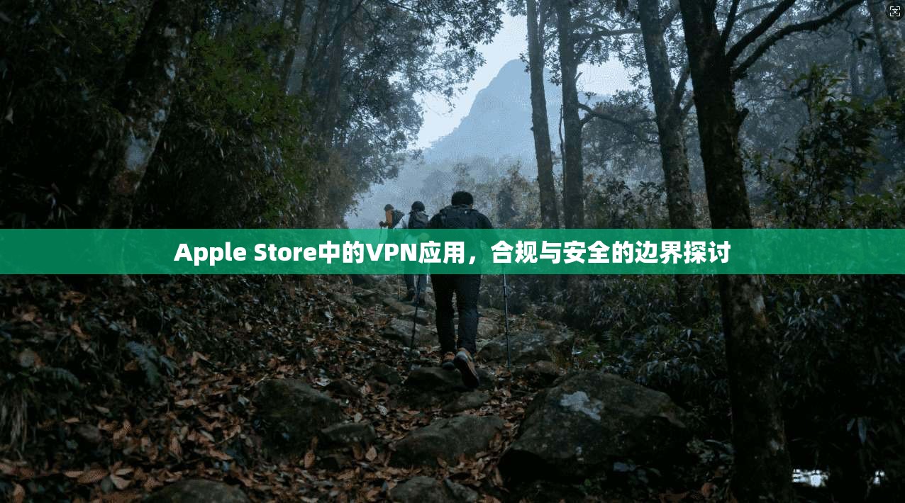 Apple Store中的VPN应用,合规与安全的边界探讨 Apple Store中的VPN应用,合规与安全的边界探讨
