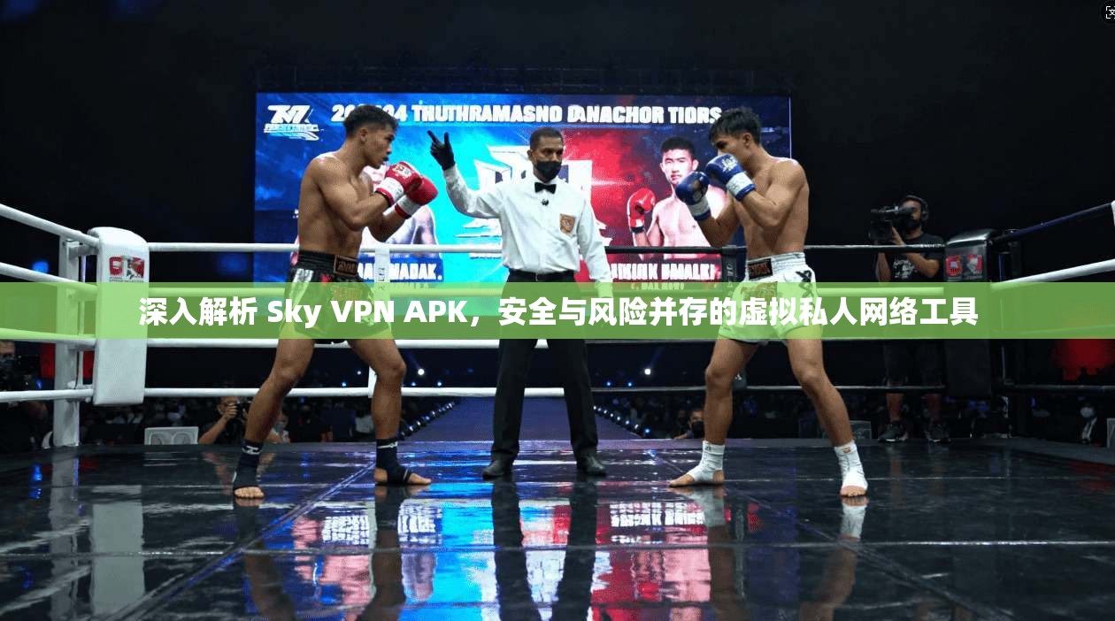 深入解析 Sky VPN APK，安全与风险并存的虚拟私人网络工具
