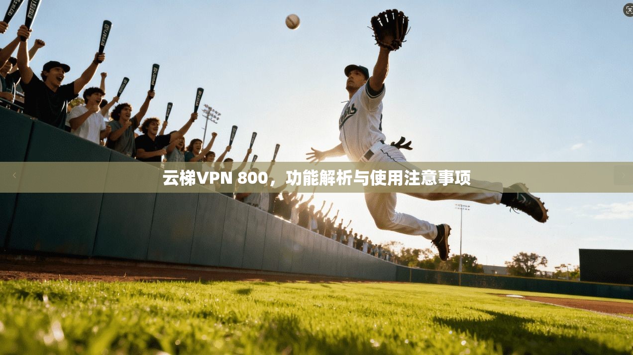 云梯VPN 800,功能解析与使用注意事项 云梯VPN 800,功能解析与使用注意事项